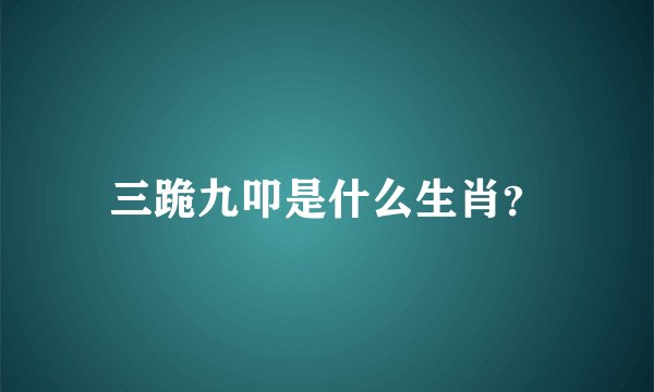 三跪九叩是什么生肖？