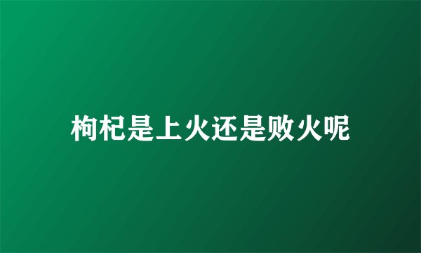 枸杞是上火还是败火呢