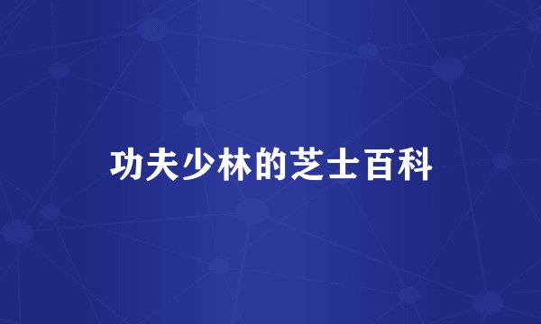 功夫少林的芝士百科