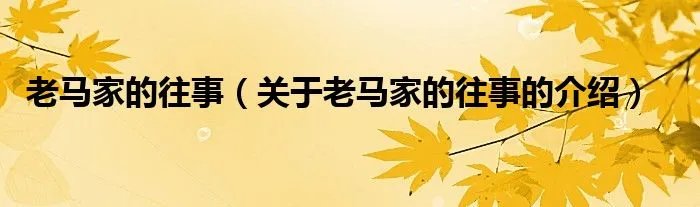 老马家的往事（关于老马家的往事的介绍）