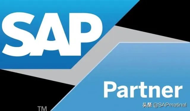 sap是一个什么样的公司？