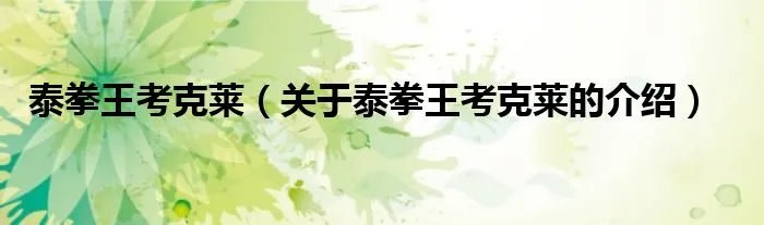 泰拳王考克莱（关于泰拳王考克莱的介绍）