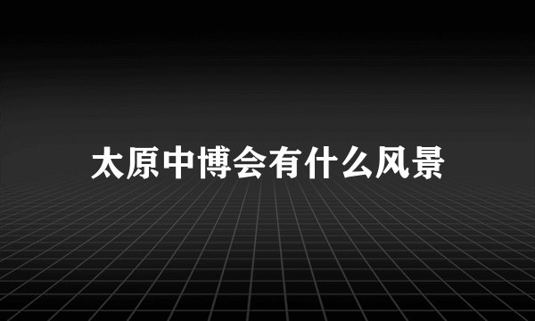 太原中博会有什么风景