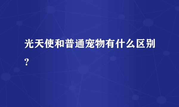 光天使和普通宠物有什么区别？