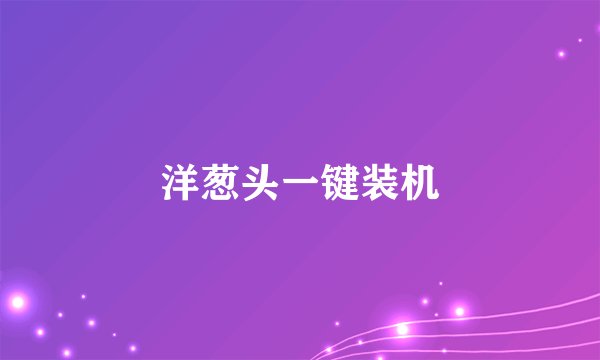 洋葱头一键装机