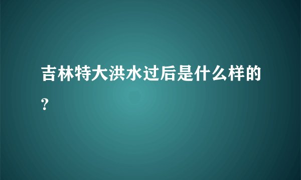 吉林特大洪水过后是什么样的？