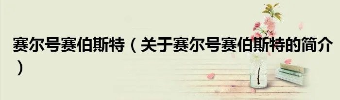 赛尔号赛伯斯特（关于赛尔号赛伯斯特的简介）