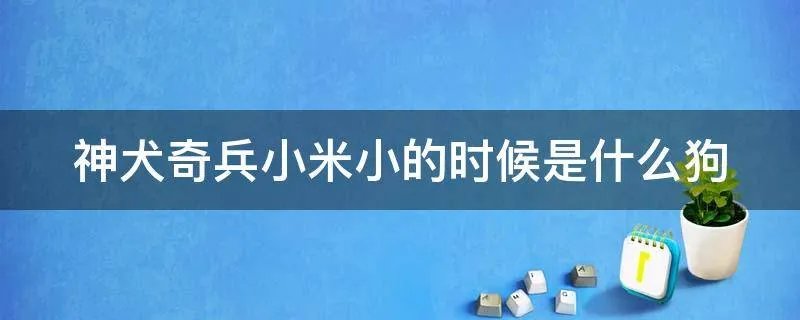 神犬奇兵小米小的时候是什么狗