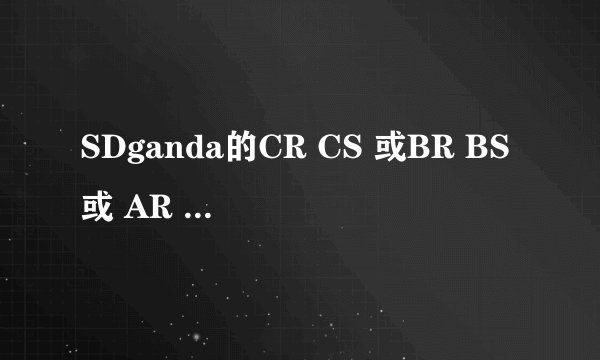 SDganda的CR CS 或BR BS或 AR 机体是虾米意思？