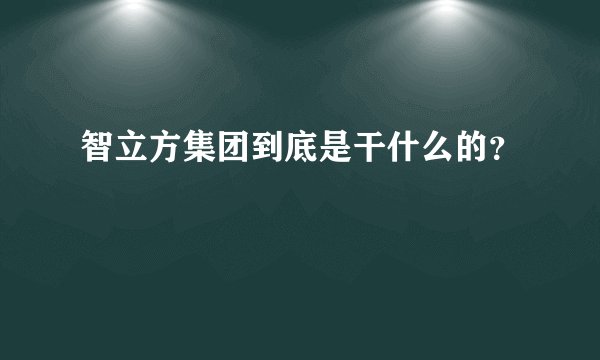 智立方集团到底是干什么的？