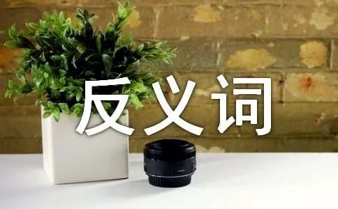 心急如焚的反义词