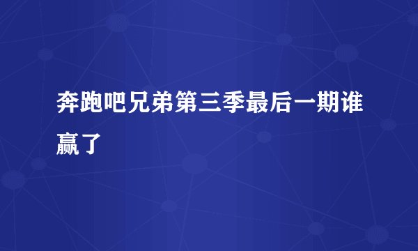 奔跑吧兄弟第三季最后一期谁赢了