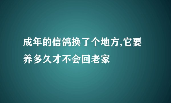 成年的信鸽换了个地方,它要养多久才不会回老家