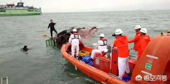 雾天为什么会停航