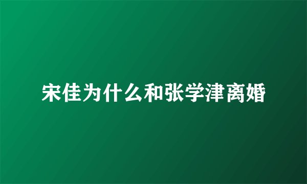 宋佳为什么和张学津离婚