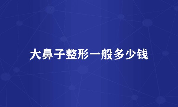 大鼻子整形一般多少钱