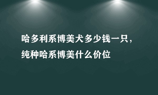 哈多利系博美犬多少钱一只，纯种哈系博美什么价位