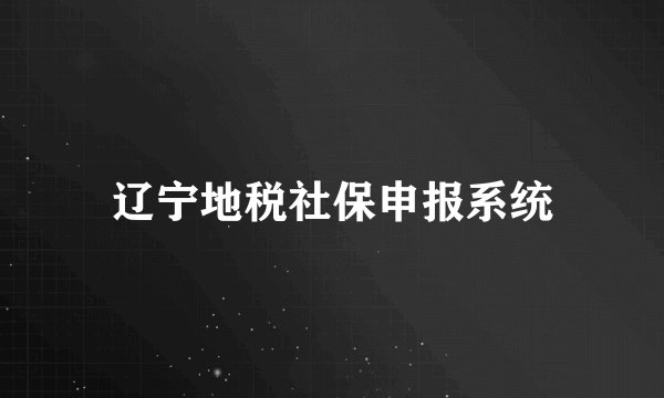 辽宁地税社保申报系统