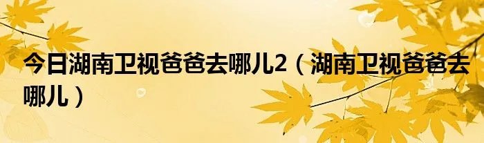 今日湖南卫视爸爸去哪儿2（湖南卫视爸爸去哪儿）