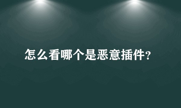 怎么看哪个是恶意插件？