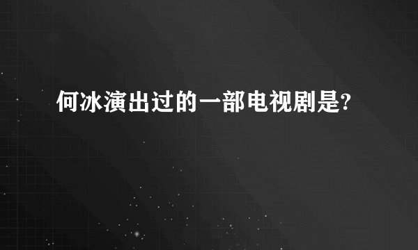何冰演出过的一部电视剧是?