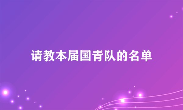请教本届国青队的名单