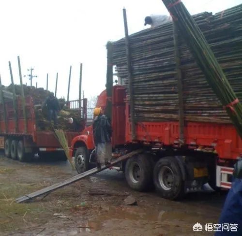 河北司机携妻儿登门感谢河南大叔称是他救了我的命,你怎么看?