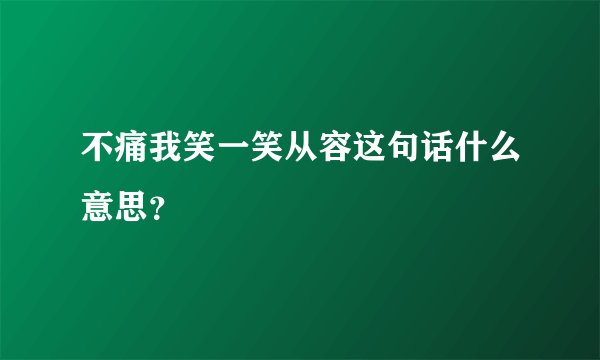 不痛我笑一笑从容这句话什么意思？