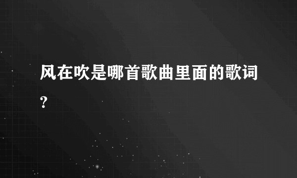 风在吹是哪首歌曲里面的歌词?