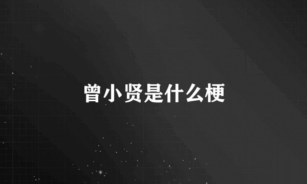 曾小贤是什么梗
