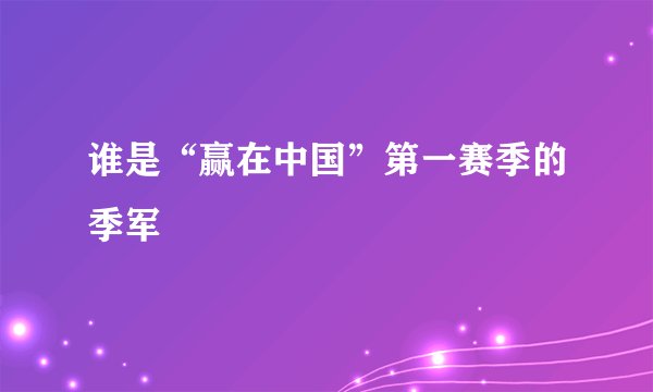 谁是“赢在中国”第一赛季的季军