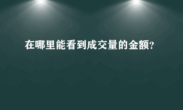 在哪里能看到成交量的金额？