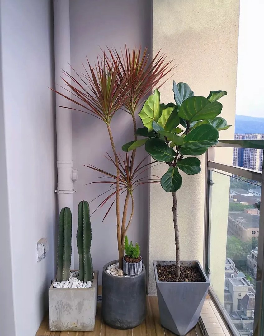 阳台管道太碍眼,下面的美化你喜欢哪种做法呢?