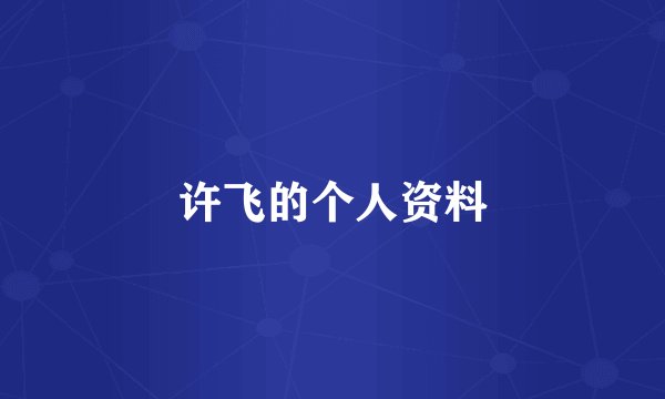 许飞的个人资料