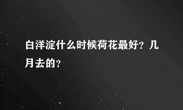 白洋淀什么时候荷花最好？几月去的？