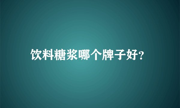 饮料糖浆哪个牌子好?