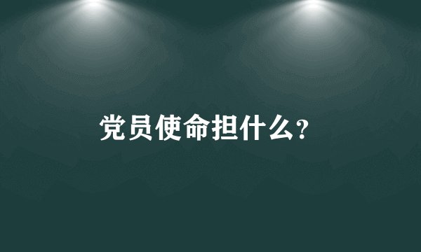 党员使命担什么？