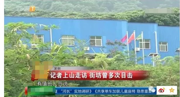 深圳闹市区出现多只野生豹猫正常吗?