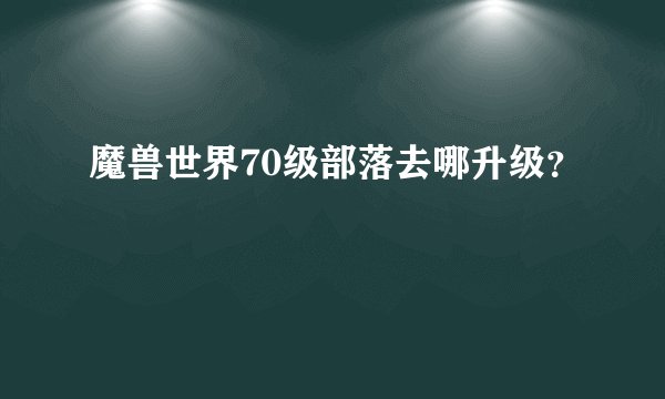 魔兽世界70级部落去哪升级？