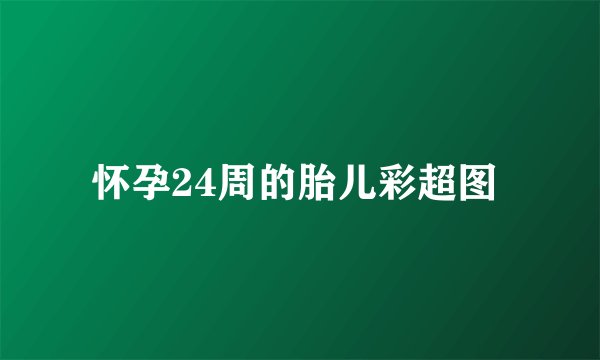 怀孕24周的胎儿彩超图 
