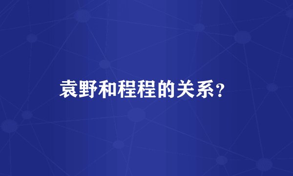 袁野和程程的关系？
