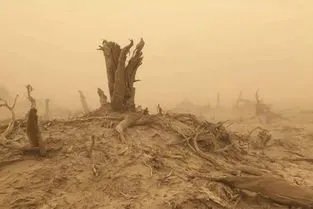 中央气象台发布沙尘暴黄色预警信号,哪些地区受沙尘天气影响严重?