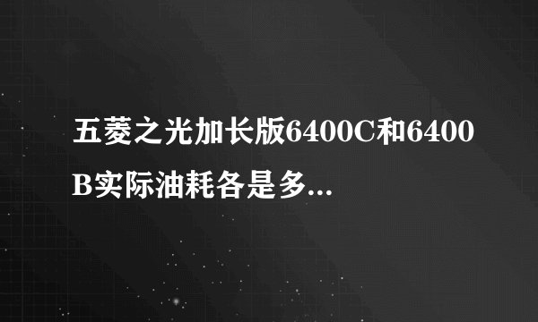 五菱之光加长版6400C和6400B实际油耗各是多少？哪个省油