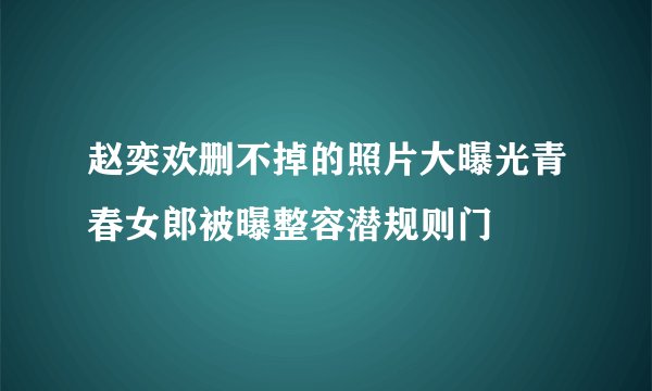 赵奕欢删不掉的照片大曝光青春女郎被曝整容潜规则门