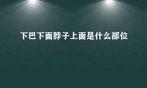 下巴下面脖子上面是什么部位