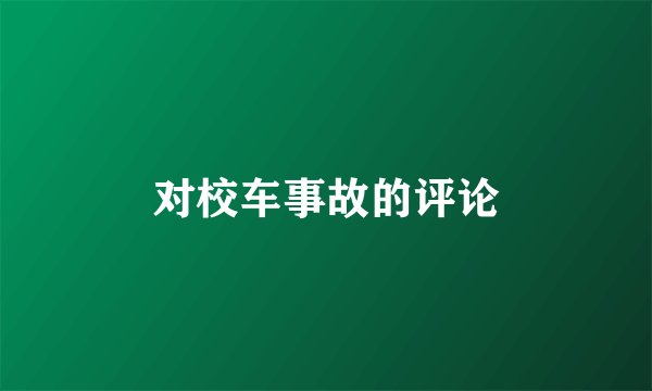 对校车事故的评论