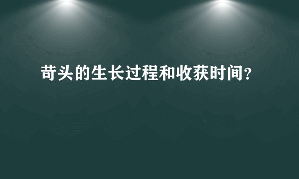 苛头的生长过程和收获时间？