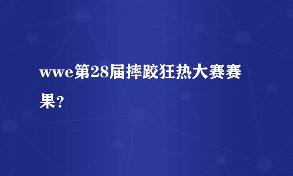 wwe第28届摔跤狂热大赛赛果？