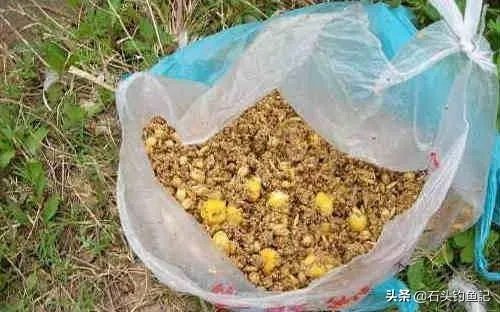 下雨天河边钓鱼,打鱼窝有没有效果,知道的老铁能否分享下经验?