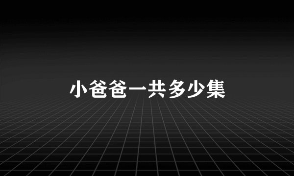 小爸爸一共多少集